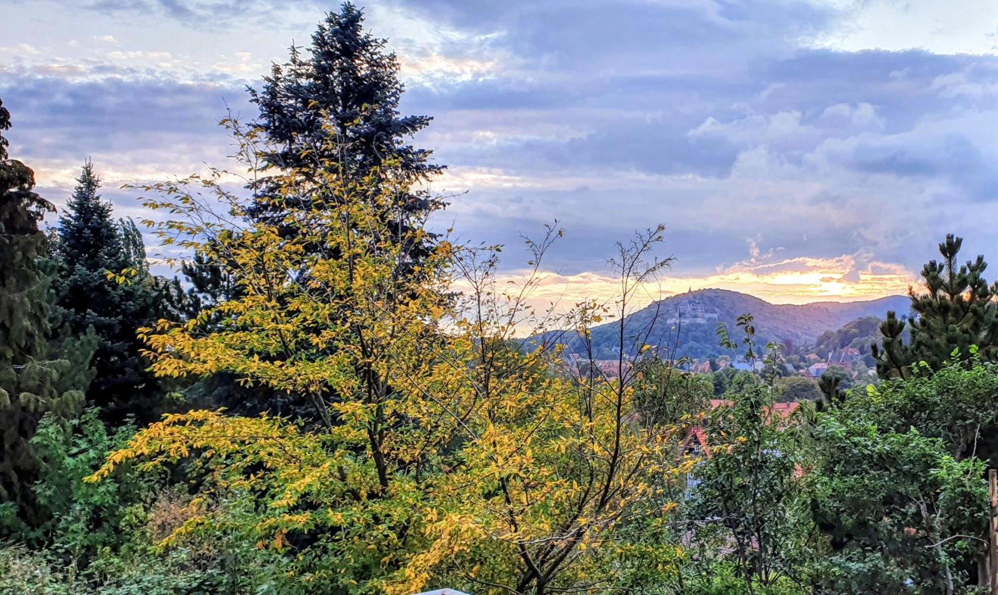 Apartments Villa-Ratskopf Wernigerode Kültér fotó